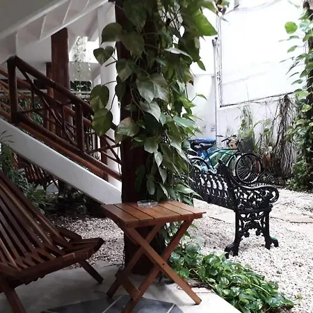 Estudios Selva Y Mar